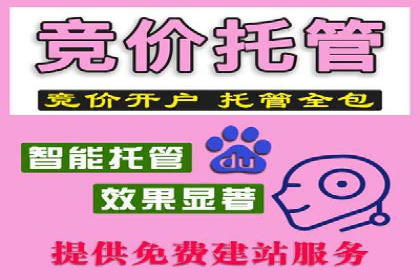 Sem优化公司案例：精准定位客户需求